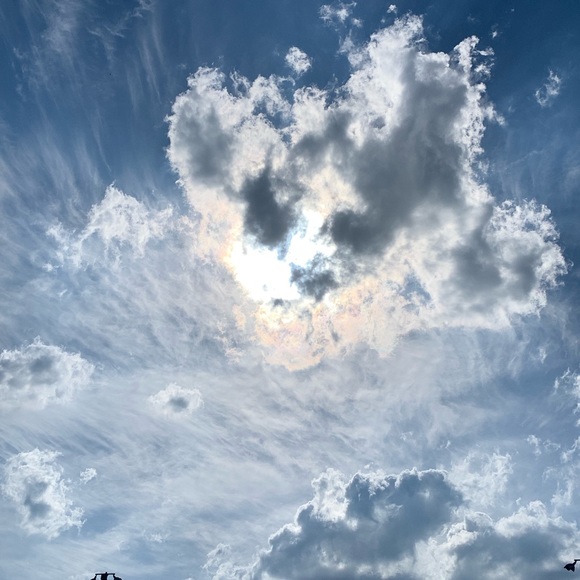 Meet your Posher, Andrew - Picture 1 of 1